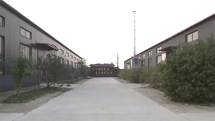 113.jpg